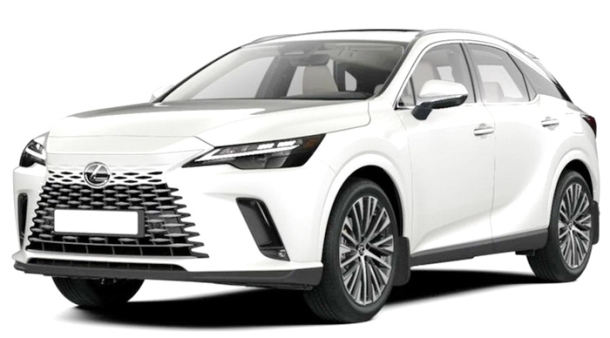 Автомобильные коврики EVA для Lexus RX V (2022->)